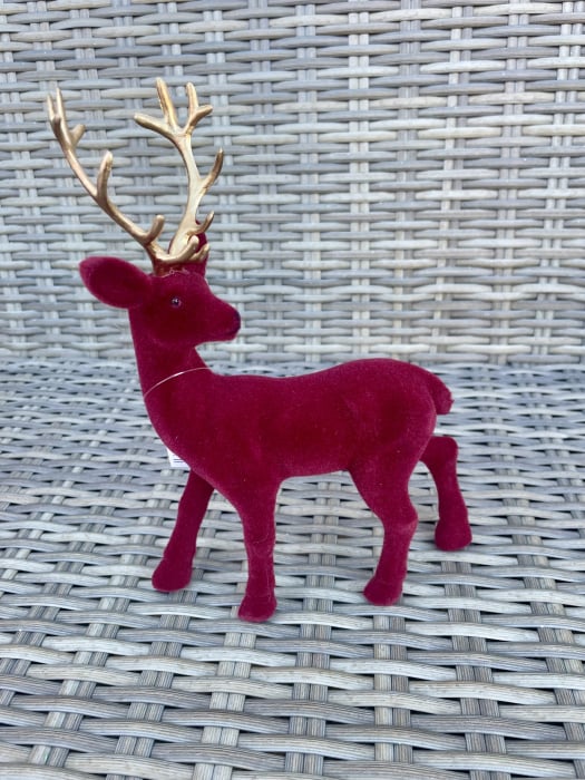 Ren catifea grena [1]