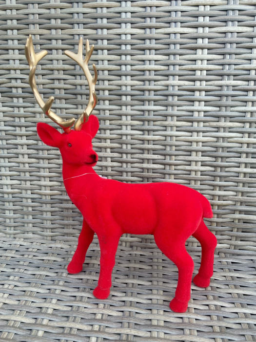 Ren catifea rosu Mare [1]