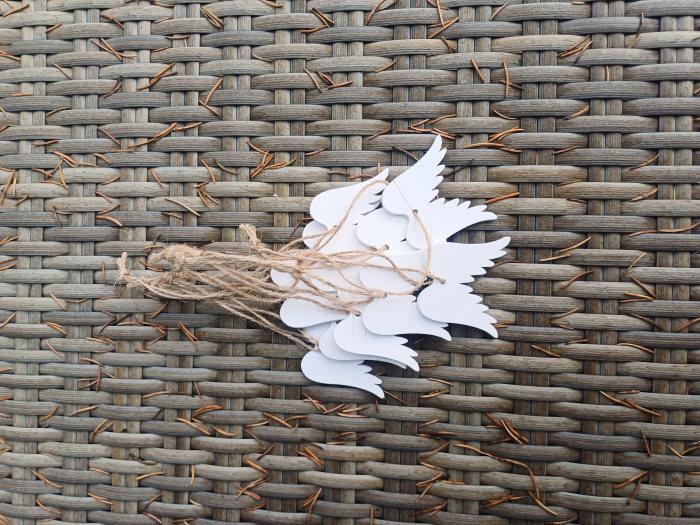 Set aripi inger albe [1]