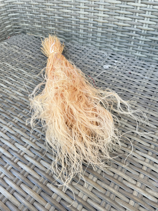 Stipha peach [1]