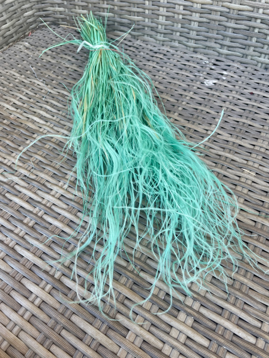 Stipha turcoaz [1]