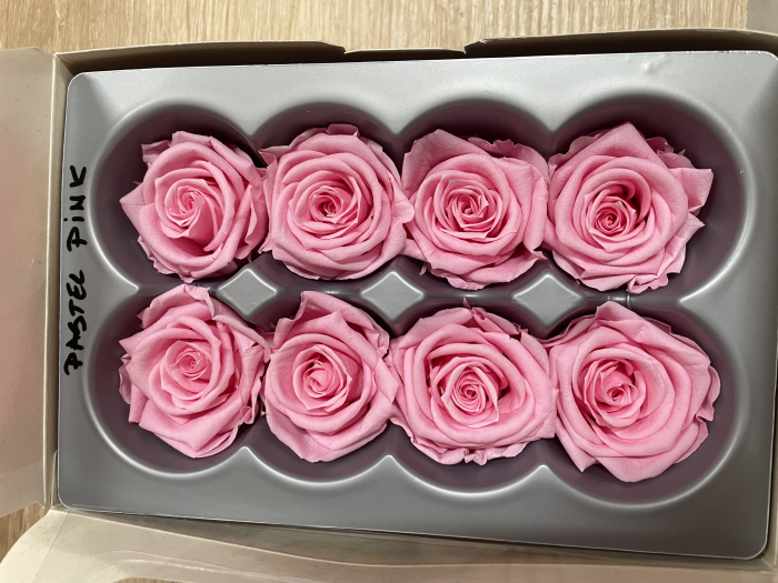 Trandafir Medium Pastel Pink [1]
