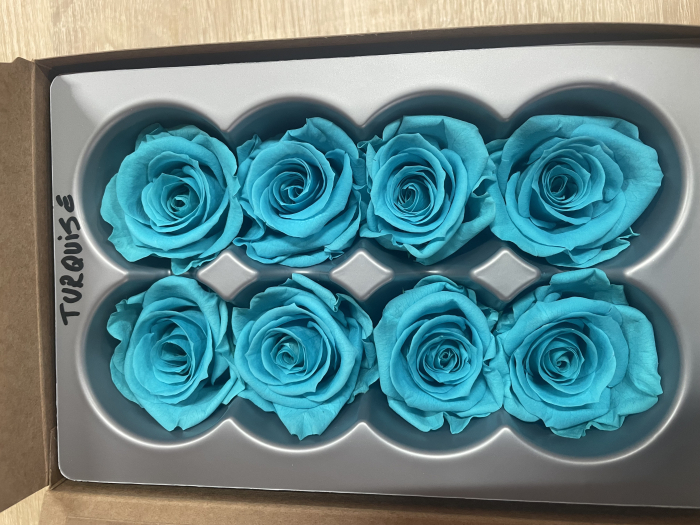 Trandafir Medium Turquoise [1]
