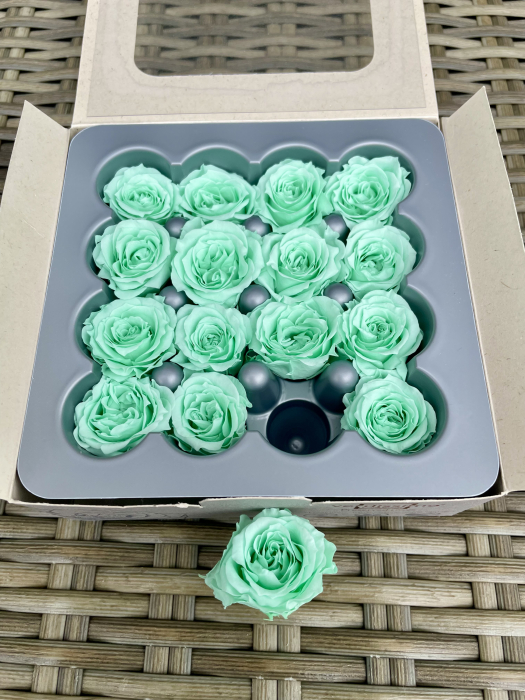 Trandafir Princess Pastel Mint [2]