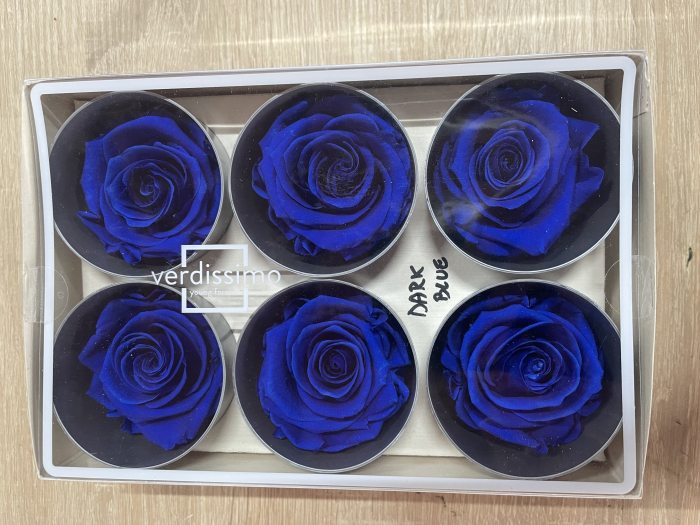 Trandafir Standard Dark Blue [1]