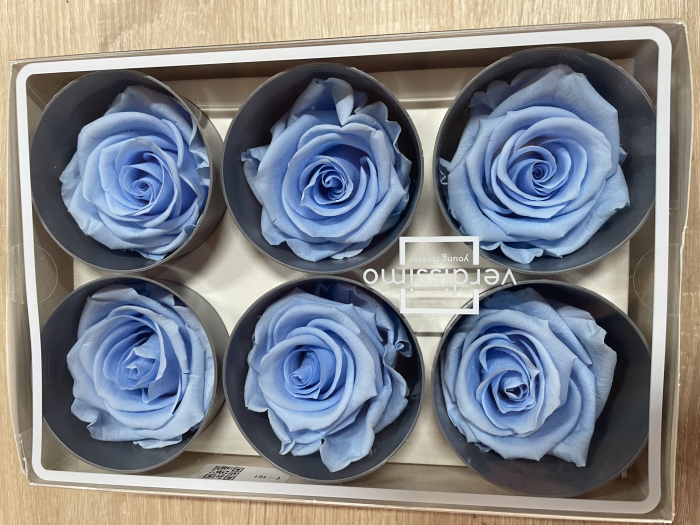 Trandafir Standard Light Blue [1]