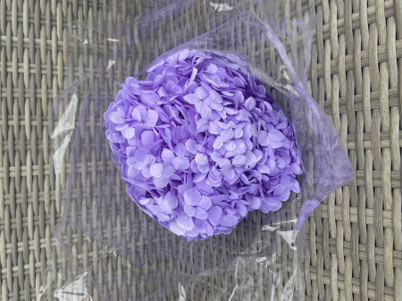 HORTENSIE CRIOGENATA&STABILIZATA - Hortensie Light Lilac