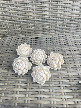 Shola - New dalia Shola Ming, 5 capete