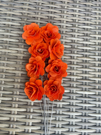 Akacia - Akacia vopsita portocaliu intens