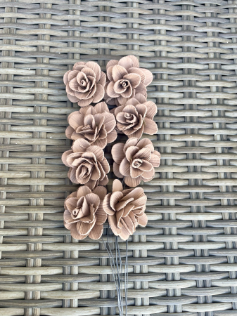 Akacia - Akacia vopsita maro cappuccino