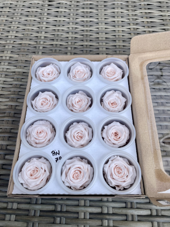 Dimensiune S - PIN-79, Marime S