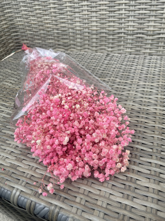 FLORI SI PLANTE USCATE - Gypsophila roz