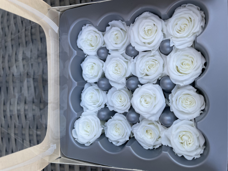 Dimensiune PRINCESS( Diametru 2.5-3cm, Inaltime:2-2.5cm) - Trandafir Princess Alb