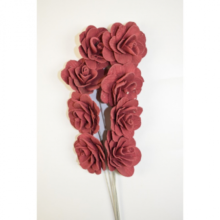 Akacia - Akacia vopsita maro cafeniu 6 cm
