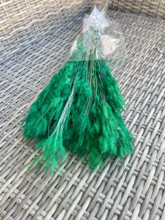 Pampas - Pampas pluminha verde