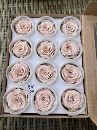 Dimensiune S - BIC-07,marime S