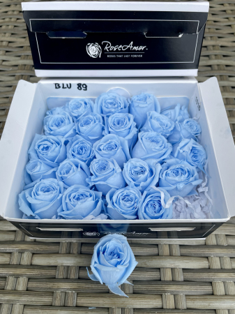BOBOCI de Trandafiri/ Mini Trandafiri - BLU-89, Cutie cu 25 boboci de trandafiri