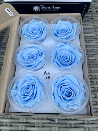 Dimensiune L - BLU-89, marime L