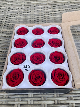 Dimensiune S - RED-02, Marime S