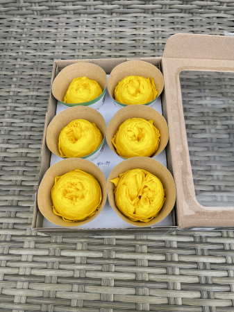 TRANDAFIRI CRIOGENATI-ROSEAMOR - Bujori NK YEL-99