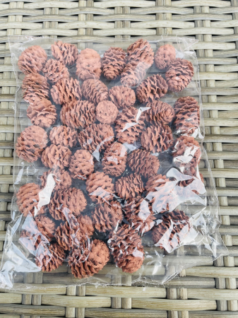 CRACIUN MAGIC - Conuri vopsite maro