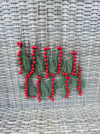 CRACIUN MAGIC - Pick set 10 crengute