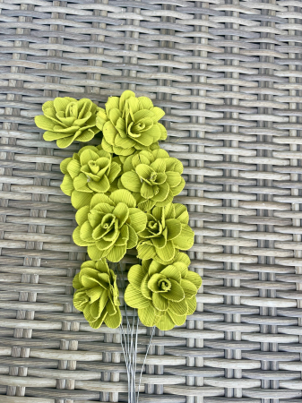 Akacia - Akacia vopsita verde maslin