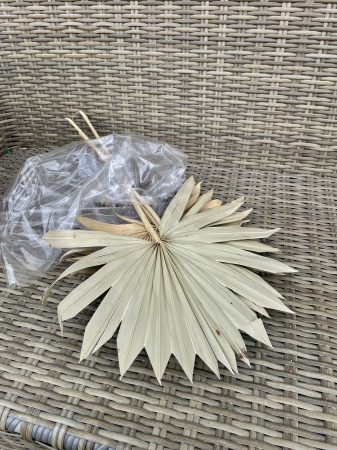 Frunze Palmier - Frunze palmier Soare, pachet mare