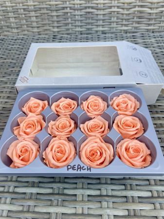 Dimensiune SMALL(diametru:3.5-4.5cm,inaltime:3.2-3.7cm) - Trandafir Small Peach