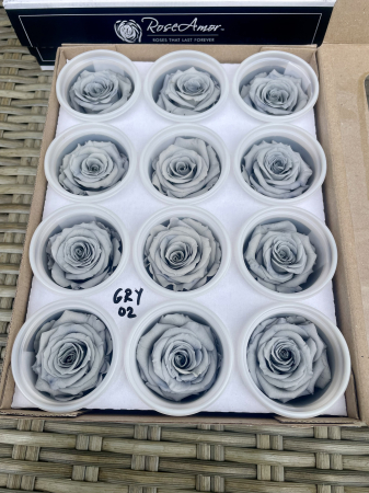 TRANDAFIRI CRIOGENATI-ROSEAMOR - GRY-02, Marime S