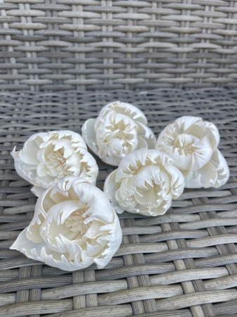 Shola - Bujori Shola 5 capete