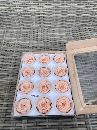 Dimensiune S - PEA-01, Marime S