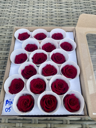 TRANDAFIRI CRIOGENATI-ROSEAMOR - PIN-05, Marime XS