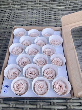 Dimensiune XS - PIN-79, Marime XS