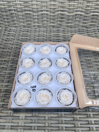 Dimensiune S - CHA-89, Marime S