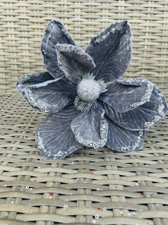 CRACIUN MAGIC - Craciunita magnolie gri