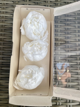 Bujori Verdissimo - Bujori albi dantelati, cutie cu 3 bucati