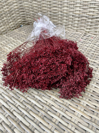 Broom Bloom - Broom Bloom grena
