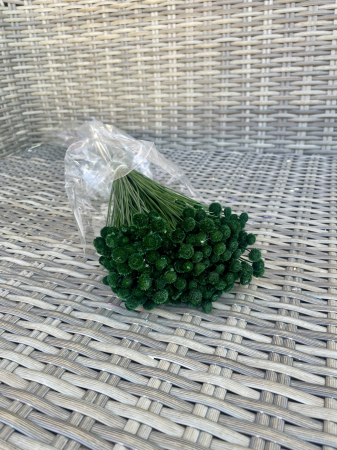 Amarelihno - Amarelihno verde inchis