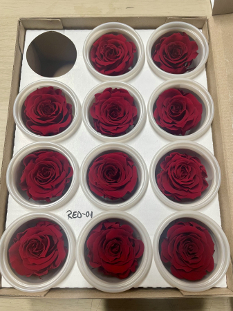Dimensiune S/M - RED-01, marime S/M