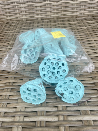 CRACIUN MAGIC - Lotus bleu 4 cm