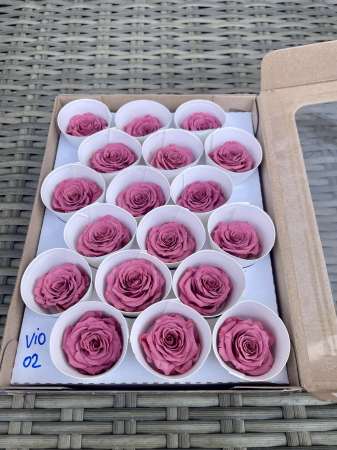 Dimensiune XS - VIO-02, Marime XS