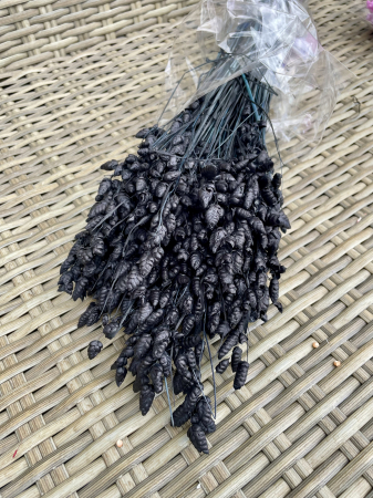 Briza - Briza neagra