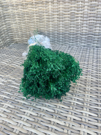 Broom Bloom - Broom bloom Verde padure