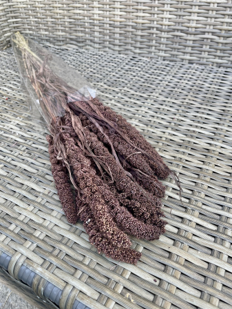 Csumiz - Csumiz vopsit maro