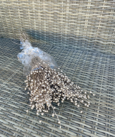 IN - In vopsit Champagne