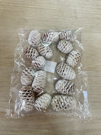 CRACIUN MAGIC - Conuri medii vopsite cu alb