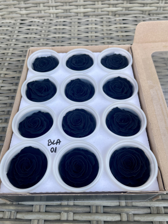 Dimensiune S - BLA-01, Marime S