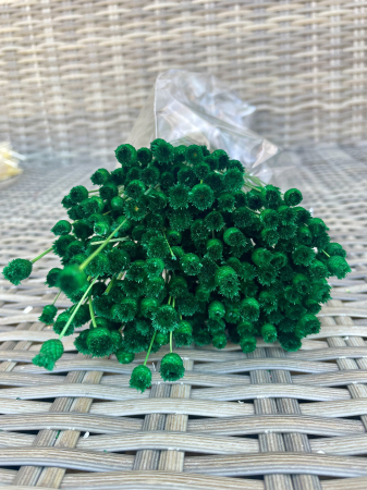 Happy flower - Happy flower verde padure