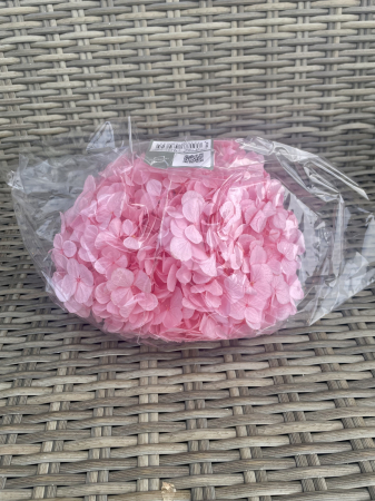 HORTENSIE CRIOGENATA&STABILIZATA - Hortensie roz